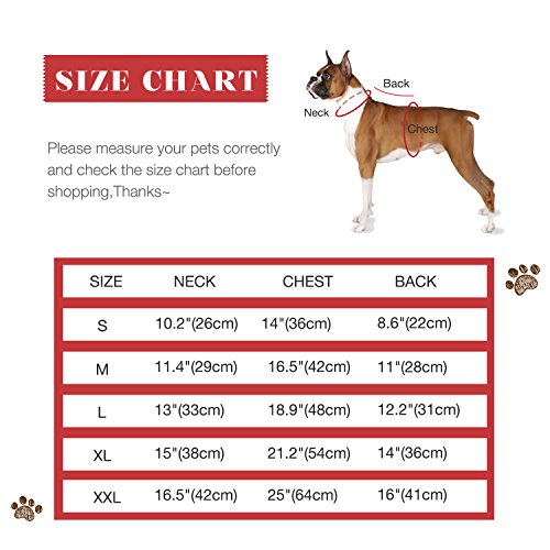 Enjoying Dog Hooded Sweatshirt-Warm Dog Sweater With Contrasting Colors,Pocket For Small Medium Dog Cat - Gray Small #TOP6