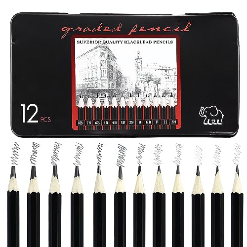 Matite per schizzi, 12 matite da disegno professionali 8B 7B 6B 5B 4B 3B 2B B HB F H 2H, Matite da Disegno in Grafite Matite per schizzi, lápices para niños, adultos, artistas, estudiantes