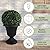 Pure Garden Outdoor Planter 2-Pack - 16x18-Inch Urn Planters - Plastic Plant Pots for Indoor, Outdoor, or Front Porch Decor - Flower Pots (Black)
