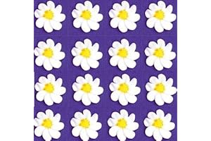 24pk White Daisy Edible Flowers - Wedding/Special Occasion Cake/Cupcake Decoration
