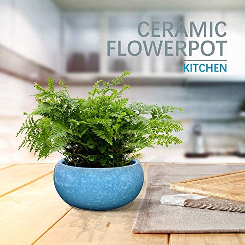Pot de fleurs hydroponiques en céramique craquelée de 14,6 cm