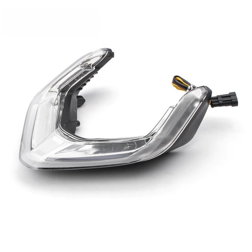 Intermitentes integrados y luz trasera de freno con óptica ahumada para Panigale V4S 5