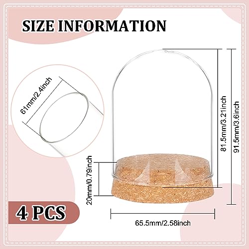 BENECREAT 4 Set Dome Display Glass Jar with Cork - Image 2