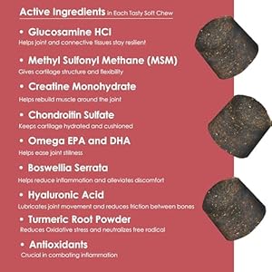 TS-Joint-Supplement-Vet-Formulated-Pain-Inflammation-Relief-Treats-Hip-Dysplasia-Arthritis-Glucosamine-Chondroitin-Turmeric-MSM-HA-Creatine-Omega-3-EPA-DHA120-Soft-Chews - Cucciolini Doodles   TS-Joint-Supplement-Vet-Formulated-Pain-Inflammation-Relief-Treats-Hip-Dysplasia-Arthritis-Glucosamine-Chondroitin-Turmeric-MSM-HA-Creatine-Omega-3-EPA-DHA120-Soft-Chews