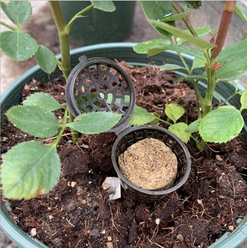 Miniatura 6 de kingsea 100 cajas de fertilizantes para bonsái con cubierta, mini cestas automáticas de fertilizantes para plantas, tazas de nutrición de plástico