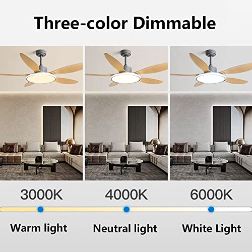 Ventilateur de plafond silencieux éclairage LED télécommande - 5