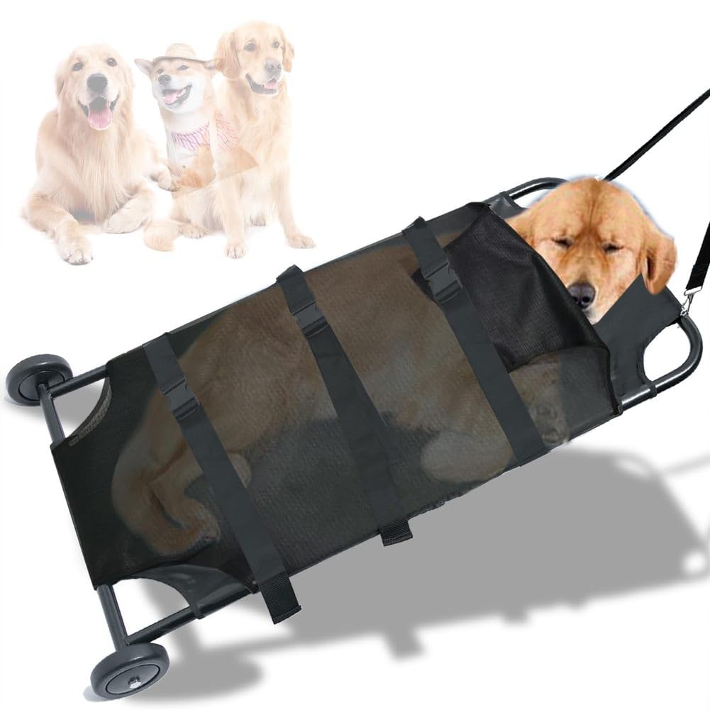 Barella per Cani di Taglia Grande 250lbs 122x66cm con Ruote silenziose barella veterinaria d'emergenza Carrello Trasporto Animali