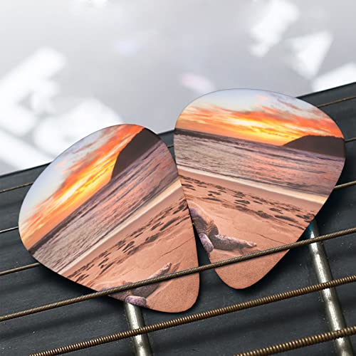 Médiators de guitare 12-Pack Sea Turtle Sunset médiators pour guitare électrique guitare acoustique diverses guitares - Les Beatles, Paul McCartney, John Lennon, RIngo Starr, George Harrison Médiators de guitare 12-Pack Sea Turtle Sunset médiators pour guitare électrique guitare acoustique diverses guitares – Image 7