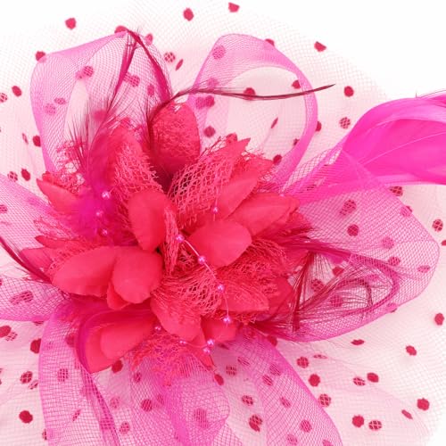 Image of DRESHOW Fascinators Hat Feather Headband Women's Fascinators Tea Party Headwear with Clip Flower Head Band for Girls & Women