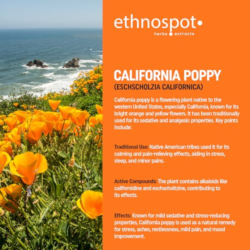 California Poppy Tea - Pure California Poppy Teabags - 100% Natural Herbal Tea For Relaxation Sleep Stress Relief & Calming Nervous System - 2 Gram Teabags - 32 Vegan Teabags - Image 6