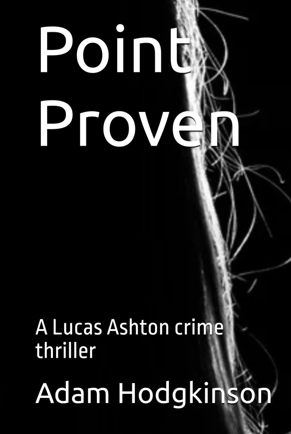 Point Proven (Lucas Ashton - Point Crime Thriller Series)