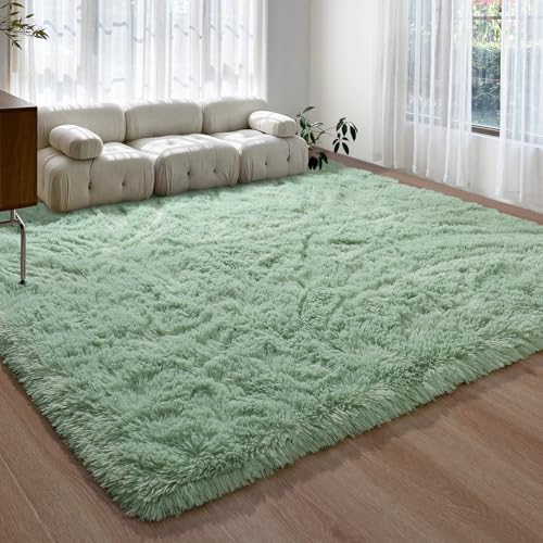 DweIke Fluffy Sage Green Rugs for Bedroom Living Room, 4x6 Feet Soft Plush Shaggy Light Mint Green Girls Boys Kids Rug, Non-Slip and Machine Washable Carpet for Dorm Nursery Classroom Decor