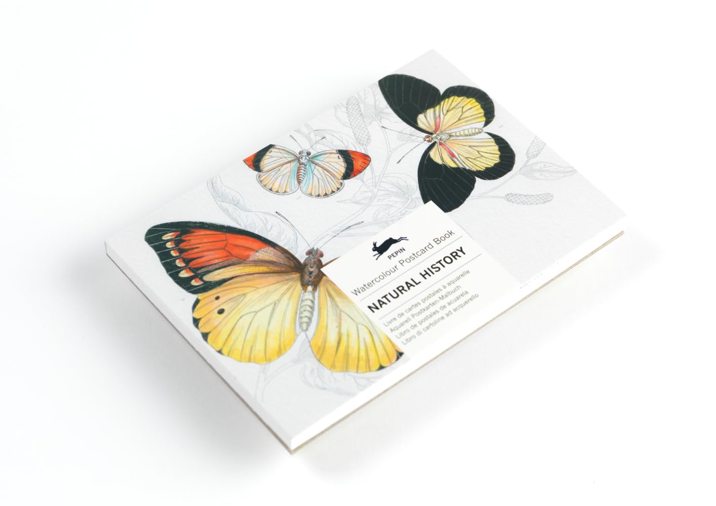 Natural History: Watercolour Postcard Book