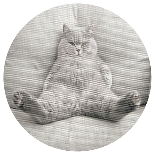 Funny Fat Cat - Manteles individuales redondos antideslizantes resistentes al calor para cocina, juego de 6