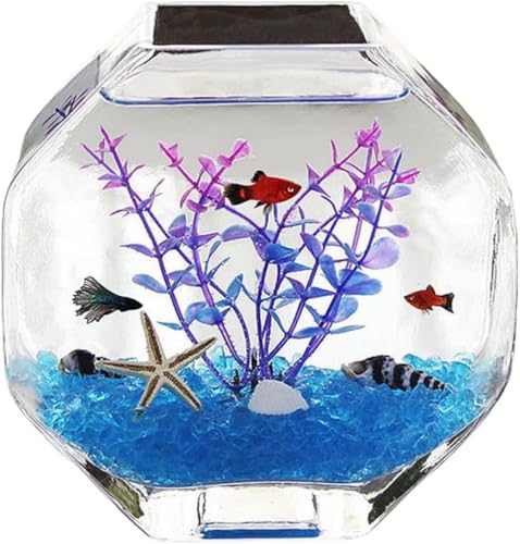 AOBOPO nCzCgKXANAEbbANA|jbNΉbpbOp  {bNX t@bV   n ^ ~j z[fR[V ItBXpi nIȃfUC  t@bVfUC u