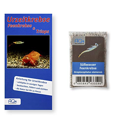 AQ4Aquaristik Siam Süßwasser-Feenkrebse - Streptocephalus siamensis (Zuchtansatz, Urzeitkrebs-Eier) mit Anleitung - Fairy Shrimps, 1.000 Eier Cover