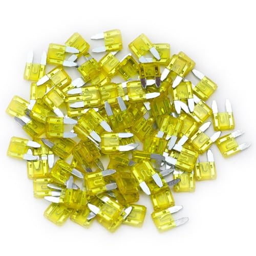 160 Pcs 20Amp Mini Fuse 20 A Mini Car Blade Automotive Fuses for Car RV Truck SUV Motorcycle Boat