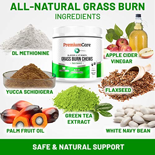 PREMIUM CARE Grass Burn Spot Chews for Dogs - Made in USA - Dog Pee Lawn Spot Saver Treatment Caused by Dog Urine - Cranberry, Apple Cider Vinegar, DL-Methionine Grass Saver Treatment for Dogs Rocks