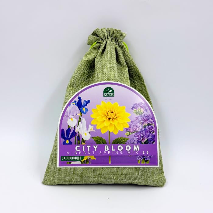 Nojus City Bloom Vibrant Spring Mix – 25 Cebul i Karp (Irys, Frezja i Dalia) – Kolorowe Kwiaty Wiosenno-Letnie do Ogrodu, Balkonu i Donic
