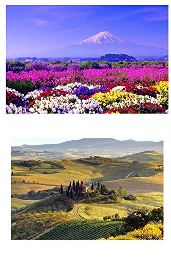 Yellow Alley� Green Scenery Poster for Decoration|Mount Fuji|Greenery|Decorative Wall Poster|Interior Wall Poster|Nature Poster for Living Room, Hostel, Reception|High Resolution 300 GSM Paper