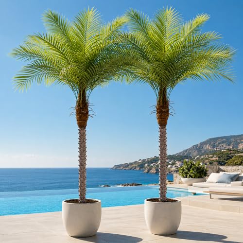 Keeplush 7ft Artificial Phoenix Palm Tree Faux Coconut Silk Tropical Fake Palm Plant for Indoor Outdoor Home Office Patio Bathroom Pool Coastal Decor(Set of 2)