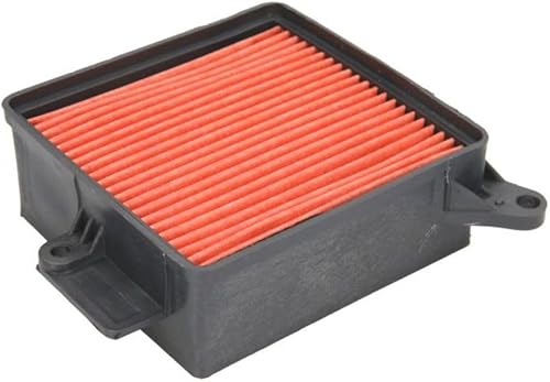 Hiflofiltro HFA5002 Premium OE - Filtro de aire de repuesto, color negro