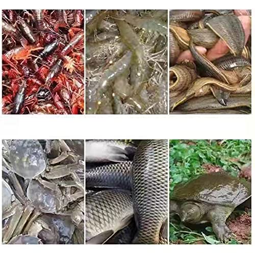 Zklaseot Laghetto Per Pesci In Tela Ispessito Con Staffa, Vasca Per Acquacoltura Da Balcone Esterno, Piscina Di Sicurezza, Facile Da Installare, Piscina Per Bambini, Personalizzabile(Red) - 3