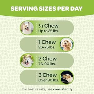 Probiotic-Chews-for-Dogs-Gut-Health-Tasty-Pro-and-Prebiotics-for-Dogs-Digestive-Health-Immunity-Itchy-Skin-Seasonal-Allergy-Support-with-Pumpkin-Dog-Probiotics-and-Digestive-Enzymes-60-Chews - Cucciolini Doodles   Probiotic-Chews-for-Dogs-Gut-Health-Tasty-Pro-and-Prebiotics-for-Dogs-Digestive-Health-Immunity-Itchy-Skin-Seasonal-Allergy-Support-with-Pumpkin-Dog-Probiotics-and-Digestive-Enzymes-60-Chews