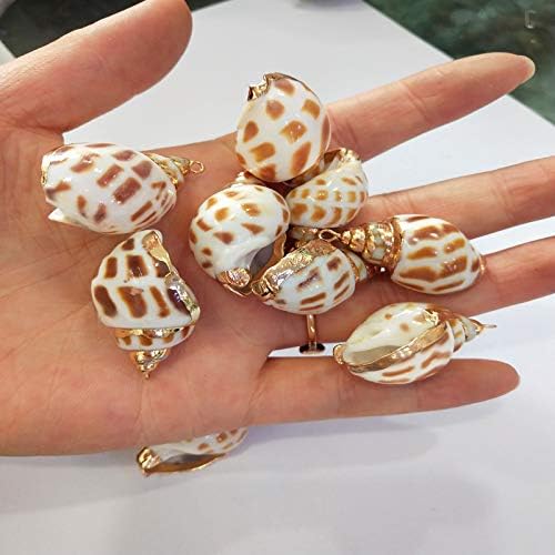 Vista 3 de QSLLER 15 colgantes de concha natural, colgantes de conchas en espiral, conchas de playa, caurie, conchas marinas, dijes de joyería de océano