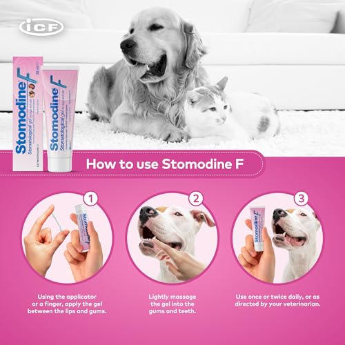 Stomodine F 30ml