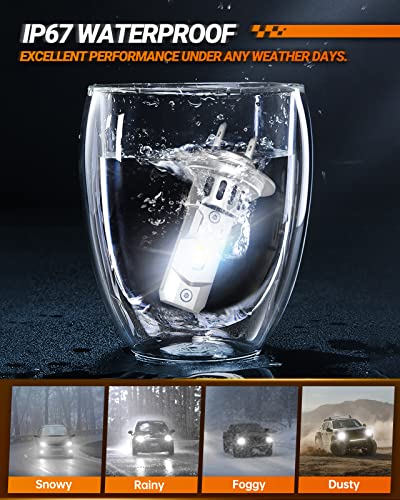Image of SEALIGHT H7 Fog Light Bulbs, Pack of 2