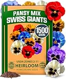 HOME GROWN Pansy Swiss Giants Mix - 1,500 Flower Seeds (2.13g) - Fall Planting Pansies Seed - Edible Viola Seeds - Cold Hardy Annuals for Containers & Outdoor Gardens (Viola × wittrockiana)