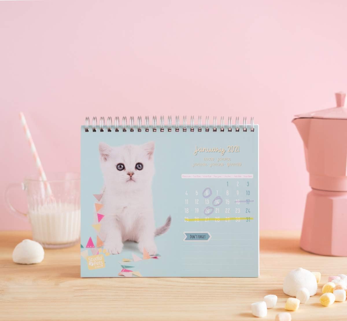 Grupo Erik Erik - Studio Pets Cats 2021 Desk Calendar - Desktop Calendar 2021 CS21012