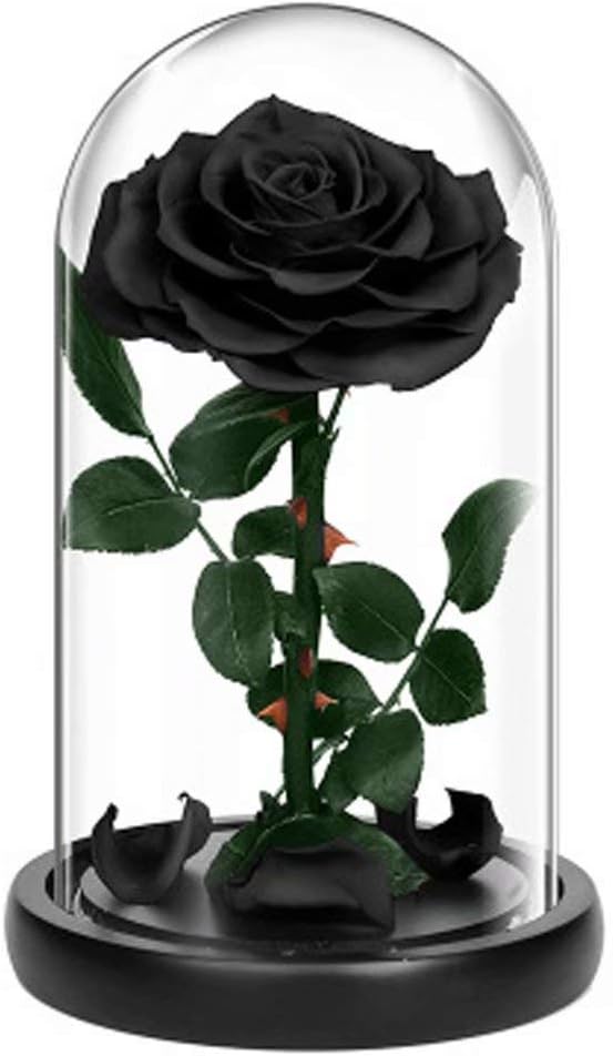 店舗良い プリザーブドフラワー バラ レッドローズ 薔薇 花 可愛い ガラスドーム Ledライト付き 木製ベース ブリザードフラワー ロマンティッ Fucoa Cl