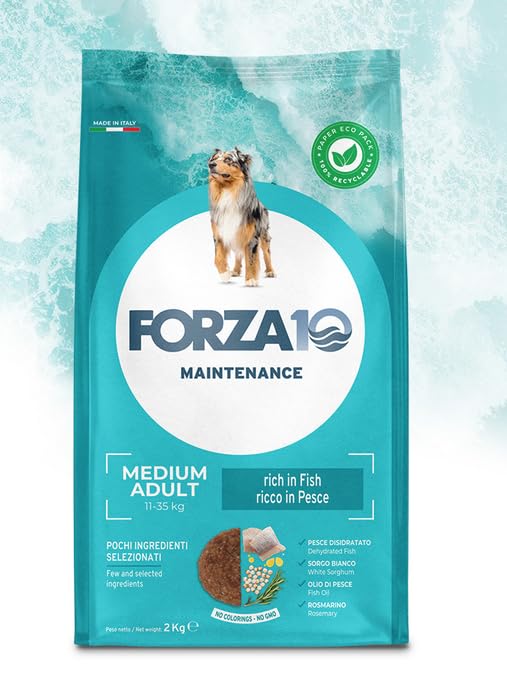 Forza 10 Mantenimento Medio Pesce 12 kg per Cani Adulti