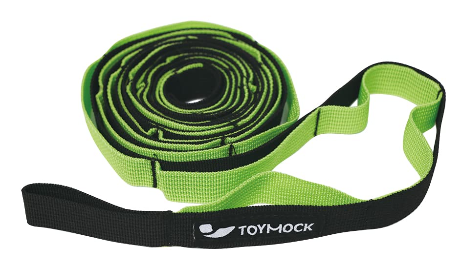 トイモック ハンギングベルト 長さ 2.4m 対荷重 5kg 専用ポーチ付