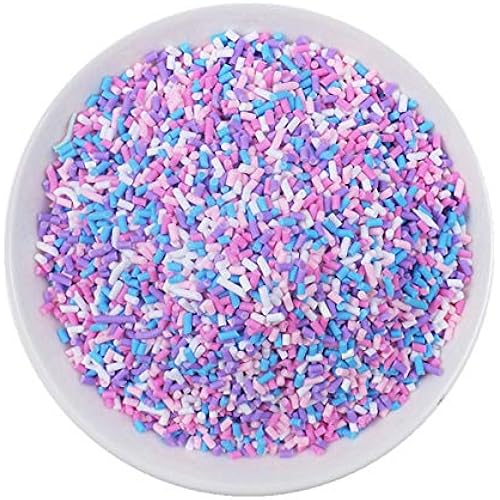 100g Resin Flatbacks Slime Accessories Clay Sprinkles Decoration for Charms Filler DIY Supplies Fake Candy Chocolate Cake Dessert Mud Particles Toy Scrapbook Phone Case (Needle2)