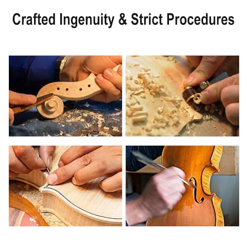 Image of Electric Violin 4 /4 full size 5 string Acoustic Violin with Ebony Fittings, Case and Bow, Maple Spruce Beginner Kit for Adults(Green)