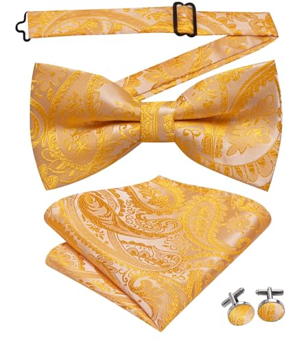 Image of Mens Paisley Striped Bowtie Set Pre-tied Bowtie for Men and Pocket Square Set Wedding Business