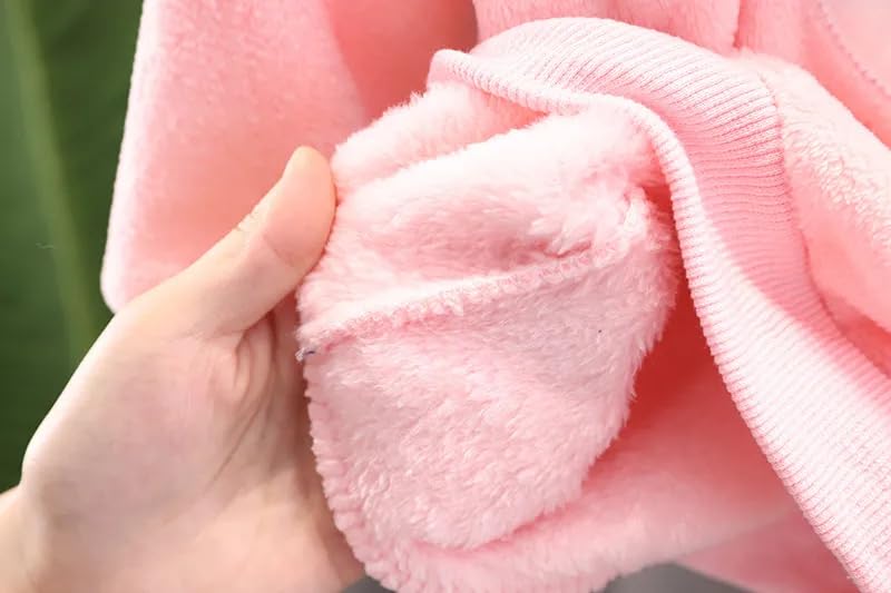 Image of Bold N Elegant Kids Dinosaur Thick Warm Fleece Fur T-Shirt Sweatshirt Joggers Pant Winter Coord Set for Baby Boy Girl