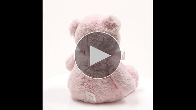 Amazon.com: GUND Baby My First Teddy Bear, Ultra Soft Animal Plush