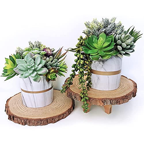 Supla 14 Pcs Artificial Succulents Plants In Bulk Assorted Unpotted Hanging String Of Pearls Cactus Aloe Picks Small Fake Succulents For Wreath Centerpiece Floral Arrangement Indoor Outdoor Home Décor #TOP4