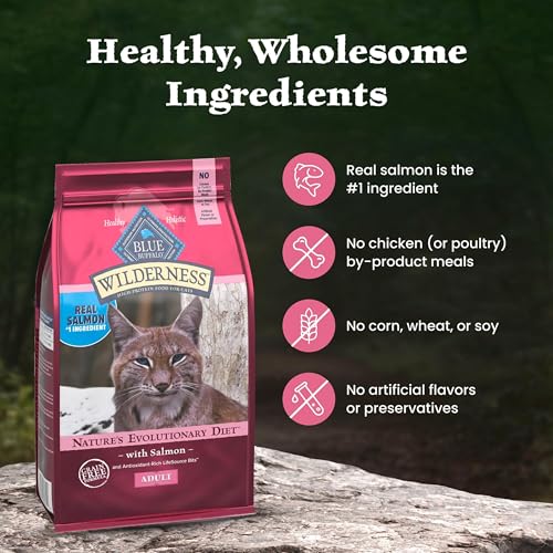 Image of Blue Buffalo Wilderness High Protein Grain Free Dry Food for Adult Cats, 40% Protein, with Salmon, 15 lb. Bag