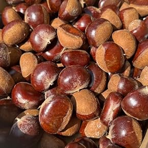 栗 10kg ※取引中 楽天市場】生栗 10kgの通販