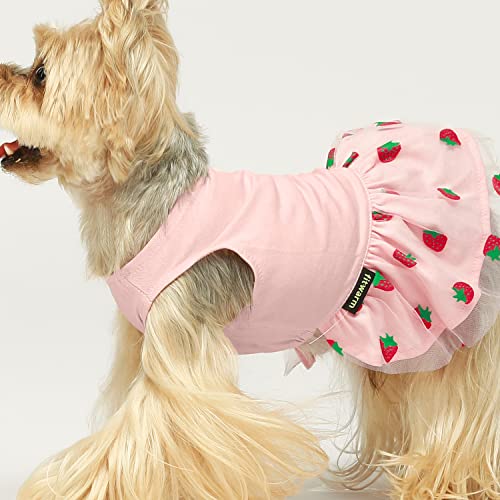 Fitwarm 2-Pack Strawberry Watermelon Dog Tulle Dress, 100% Cotton Summer Dog Clothes For Small Dogs Girl, Pet Cat Outfit, Red, Pink, Small #TOP6