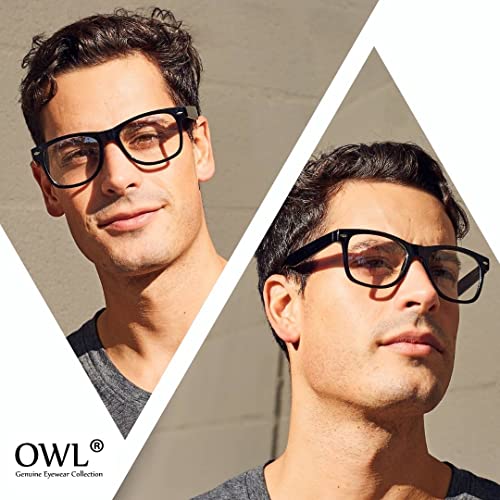 OWL Classic Vintage Sunglasses 80s Style with Clear Lens, Smoke Lens Nerdy Colorful Frames3