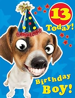 13th Birthday Card for A Boy Aged 13-7.25 x 5.5 Inches - Piccadilly Greetings