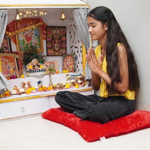 Image of NEXTGO Floor Seat Cushions Yoga Meditation Mat Pooja aasan Soft Extra Comfortable Feather Touch Last Long Upto Washable Material Size 24 x 30 Inch 2 x 2.5 Fit (RED)