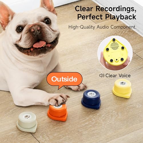 Interactive Dog Buttons in Use