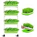 Seed Sprouter Trays with 4 Layers Shelf Soil-Free Healthy Wheatgrass Seeds Grower and Storage Trays for Garden Home